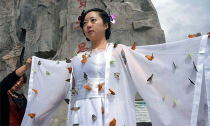 Quảng bá du lịch bằng cách ghim bươm bướm lên người 'tiên nữ'