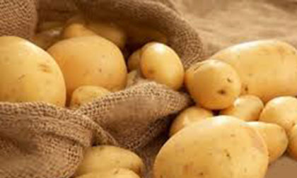 10 lợi thế bất ngờ của khoai tây