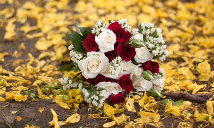 Muốn "bỏ của chạy lấy người" vì lấy phải vợ nanh nọc