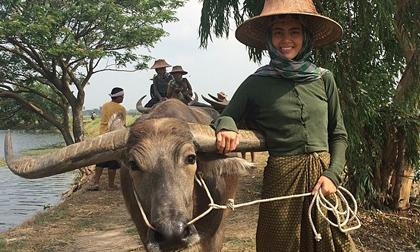 "Ma nữ Thái" Mai Davika tươi rói đứng vịn sừng trâu