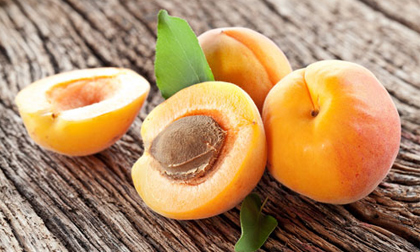Thuốc hay từ quả mơ