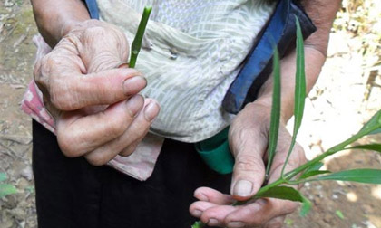 Lạnh sống lưng với những ca tự phá thai của chị em