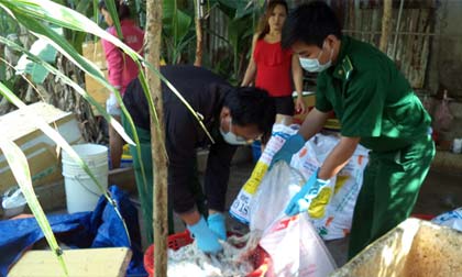 "Đột kích" lò phụ phẩm heo thối 