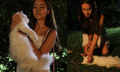 Sao nữ Thái bị "ném đá" dữ dội vì hành động thắt cổ mèo