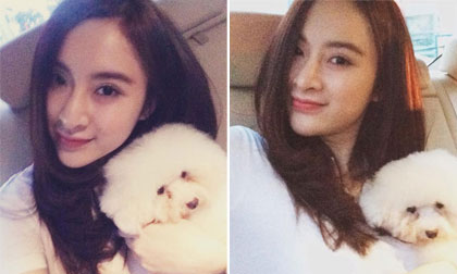 Angela Phương Trinh dẫn cún cưng đi Spa làm đẹp