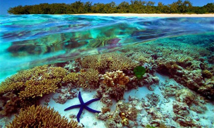 5 điểm đến đang dần bị khách du lịch hủy hoại