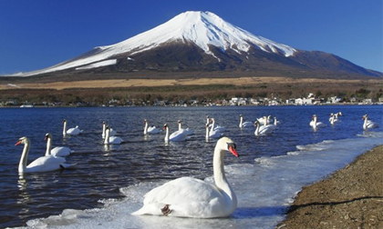 5 địa điểm du lịch lý tưởng cho tháng 6