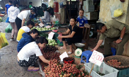 Vải 8.000, mận 10.000 đồng: Ế ngập chợ, tràn vỉa hè