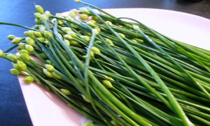 Món ăn tốt cho nam giới hiếm muộn con