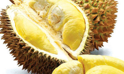 Tác hại khôn lường khi ăn sầu riêng không đúng cách