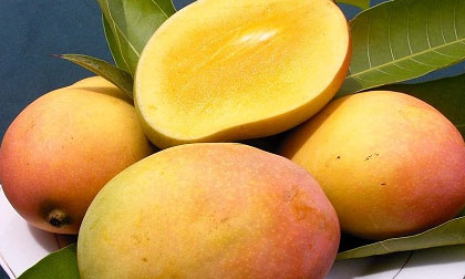 Giảm cân với xoài cả vỏ: Hiệu quả bất ngờ!