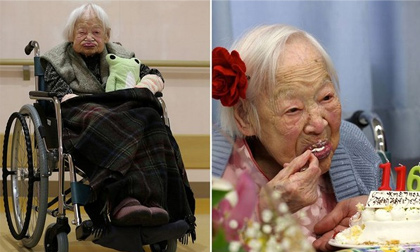 Nghiên cứu hé lộ bí quyết sống thọ như người Nhật Bản