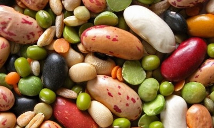 Công dụng của các loại đậu, đỗ