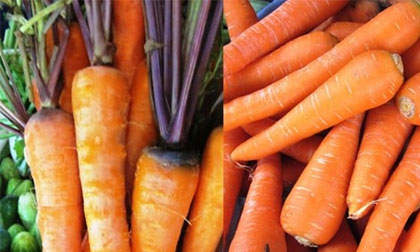 Cách phân biệt một số rau củ quả Trung Quốc và Việt Nam