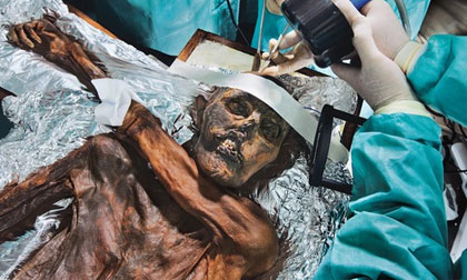 Bí mật kinh hoàng: Xác ướp và những lời nguyền ứng nghiệm