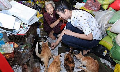 Ngọc Hân đến thăm bà cụ 80 tuổi cưu mang đàn mèo bị bỏ rơi