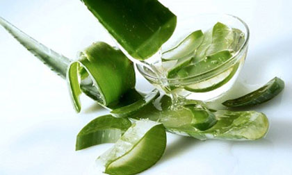 4 "cơ chế" giảm cân mà cây lô hội mang lại cho bạn