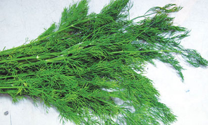 Ăn thì là để ngăn ngừa ung thư