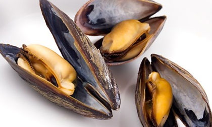 5 tác hại của trai, hến mà người ăn không hề biết