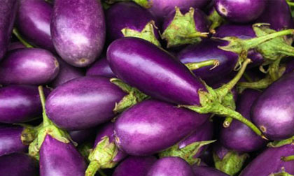 Cà tím ngừa dị tật bẩm sinh cho thai phụ