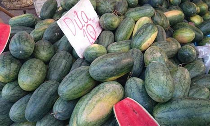 Giá hoa quả Hà Nội gấp 10 lần miền Nam