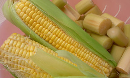 10 loại nước chữa bệnh 'nóng trong' cực hiệu quả