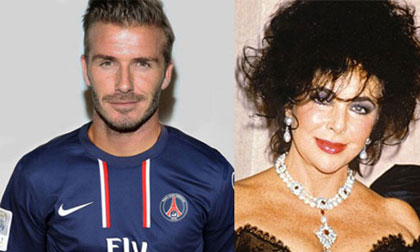 Khi "sao" lâm cảnh... nuôi ong tay áo