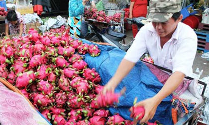 Trái cây dội chợ, rớt giá hàng loạt