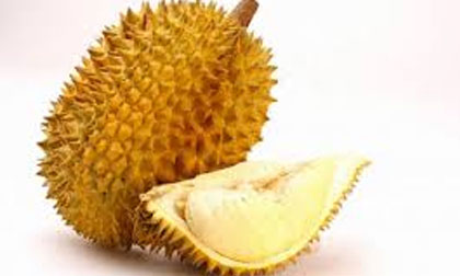 Những người mang bệnh sau chớ ăn sầu riêng mà mang họa