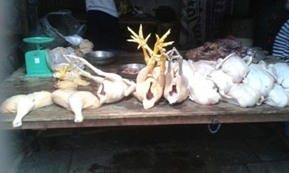 Bàng hoàng công nghệ tẩm gà vàng bằng... bột sắt