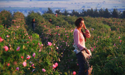 Thung lũng hoa hồng - niềm tự hào Bulgaria 