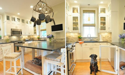 Giải pháp để có "phòng riêng" cho thú cưng trong nhà chật