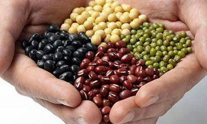 Chống cảm nắng hiệu quả với các loại đậu