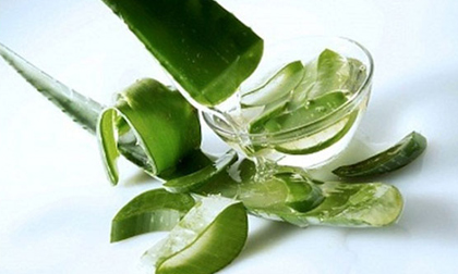 Lợi và hại khi tiêu thụ nước ép lô hội