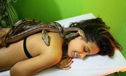 Rợn người với tiệm massage bằng trăn và rắn ở Brazil