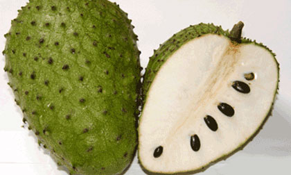 Mãng cầu - biệt dược trị ung thư hiệu quả gấp 10.000 lần hóa trị?