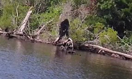 Dã nhân bigfoot bị bắt gặp lần hai tại cùng một hồ nước