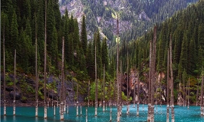 Khu rừng dưới nước tuyệt đẹp ở Kazakhstan