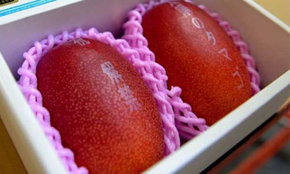 Những loại trái cây đáng giá cả gia tài