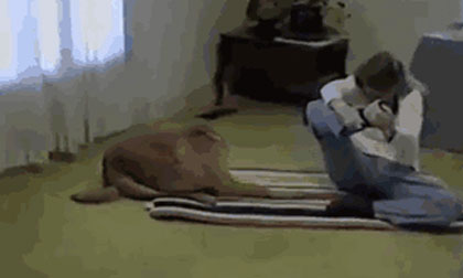 Ảnh động vui: Thầy dạy yoga cho cô chủ