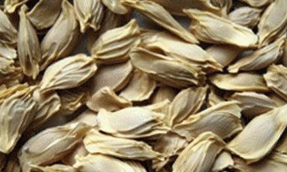 Tác dụng chữa bệnh tuyệt vời của hạt bưởi