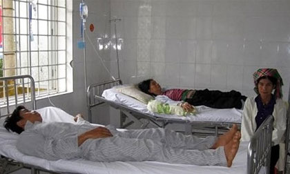 Ăn côn trùng nghi là bọ xít, 38 người nhập viện, 1 người chết