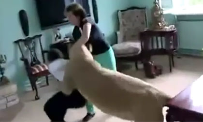 Sư tử nhà suýt "lột da" thượng khách