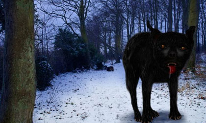 Giải mã bí mật loài chó ma huyền thoại với lời nguyền chết người