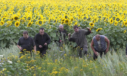 Tìm thấy 181 thi thể tại hiện trường tai nạn máy bay Malaysia