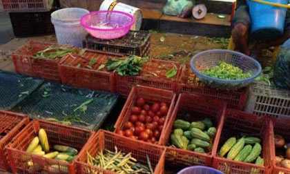 Hà Nội: "Cháy" hàng rau xanh trước giờ bão số 2 đổ bộ