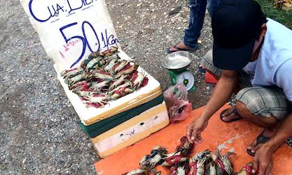 Cua biển nằm ngửa 50.000 đồng/con tràn vỉa hè Hà Nội