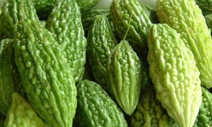 3 đối tượng cấm kị không được ăn mướp đắng