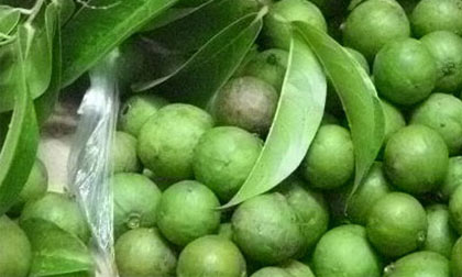 Công dụng chữa bệnh thần kỳ từ quả sấu