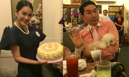 Lý Nhã Kỳ mang chó đến tiệc chúc mừng cũng bị fan "ném đá"